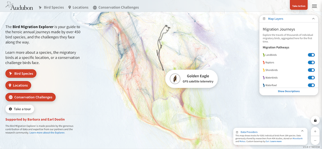 Use the Bird Migration Explorer to Track Hundreds of Bird Journeys